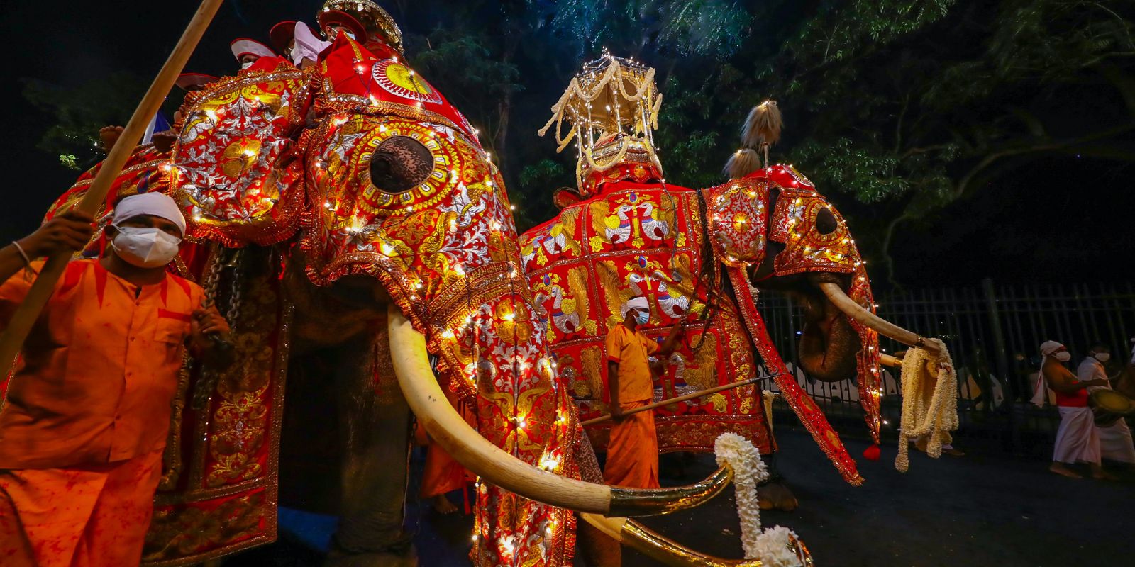 Elephants baring dalada karaduwa